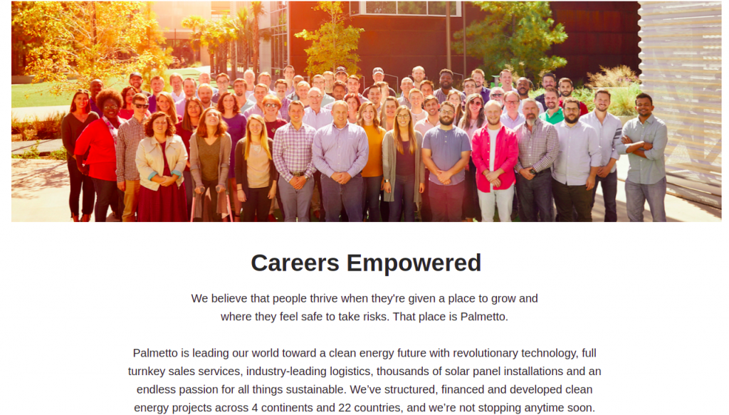 remote-companies-offering-remote-jobs-in-south-carolina-palmetto-clean-technology-careers