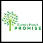 Social Media Manager